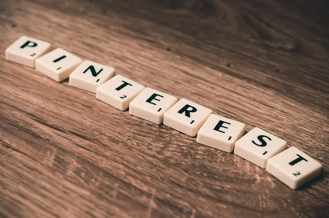 Internet InfoMedia how to succeed with article submission today 1