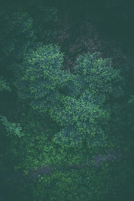 Internet InfoMedia solid tips for getting your customers to join your email promoting list 3