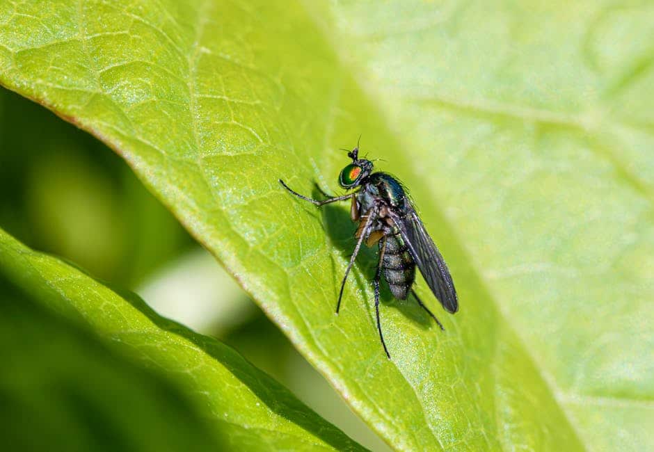 The Role of Neuromarketing in Understanding Consumer Behavior Internet InfoMedia F IMG 68c0d517d79e4